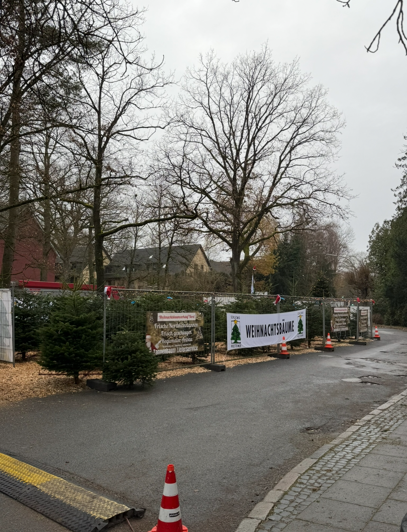 Verkaufsgelände von Weihnachtsbaumverkauf Nord in Hamburg-Poppenbüttel: eine mit Bauzäunen abgesteckte Fläche mit Nordmanntannen auf Hackschnitzeln, Bannern mit den Aufschriften Weihnachtsbaumverkauf Nord und WEIHNACHTSBÄUME, Nikolausmützen auf den Zaunpfosten und einer Lichterkette